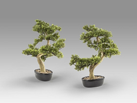 Bankan - bonsai 75cm Искусственное растение из 2 предметов