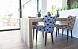 Стул Ginger