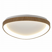 Потолочный светильник NISEKO II 8632