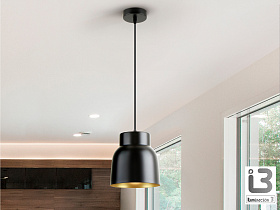 Vulcano Подвесной светильник 1L черный/золотистый