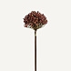 Искусственное растение ALLIUM