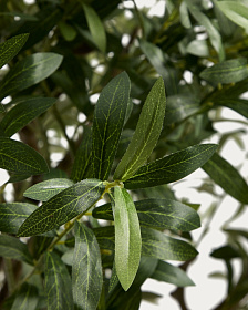 Искусственное дерево Artificial Olive в белом горшке, 210 см