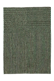 Ковер Blur зеленый 300×400