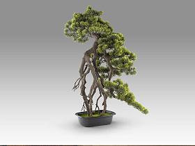 Kengai bonsai 74см Искусственное растение из 2 предметов