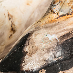 PEZ Большая декоративная фигура рыбки 1 шт