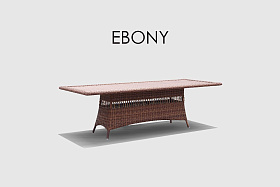 Обеденный стол Ebony RED PULUT 300х100