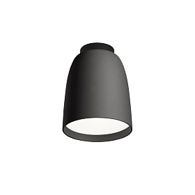 Уличный полоточный светильник Nut PF/10 Outdoor черный