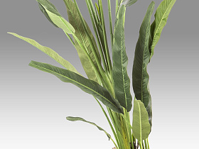 Palma viajero Искусственное растение H240