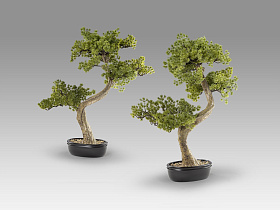 Bankan II bonsai 49cm набор из двух предметов