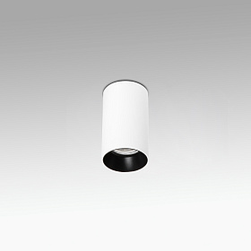 Потолочный светильник Stan 1L белый