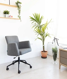 Кресло поворотное Elvis на колесиках