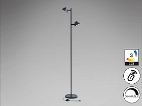 Taros Торшер 2L черный