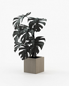 Цветочный горшок Stela 50