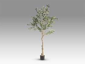 Olivo Искусственное растение H180