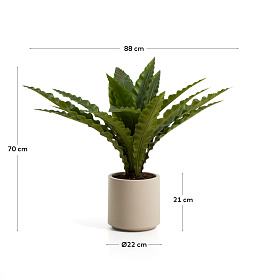 Искусственное растение Neottopteris в белом горшке 70 см