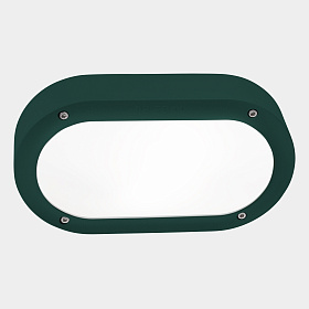Уличный настенный светильник Basic Oval IP66 E27 15W Зеленый
