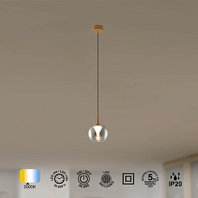 9076 Подвесной светильник ANDROMEDA