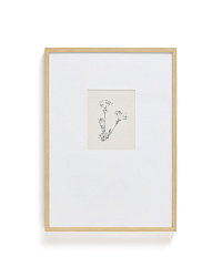 Картина Lirena с ботанической иллюстрацией 50 x 70 см