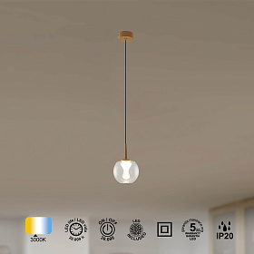 9078 Подвесной светильник ANDROMEDA