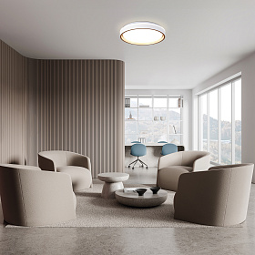 Потолочный светильник VERONA 9026