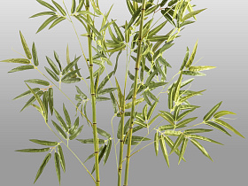 Bambu Искусственное растение H170