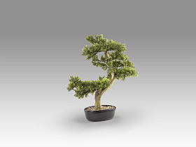 Bankan - bonsai 75cm Искусственное растение из 2 предметов