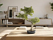 Bankan II bonsai 49cm Искусственное растение