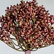 Искусственное растение ALLIUM