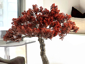 Bujin-hi bonsai 45cm набор из 2 предметов