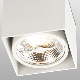 Потолочный светильник Tecto-1 белый AR111