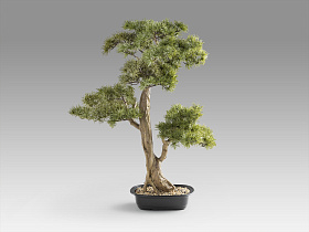 Chokkan - bonsai 83cm Искусственное растение