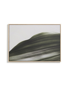 Фотография листа Foliae размер 52 x 72 см