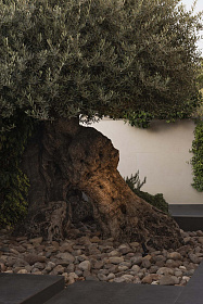 Проектор PUK черный Ш36 LED 4W 2700K 40°