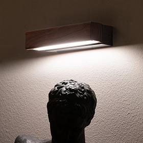 Настенный светильник Ariel