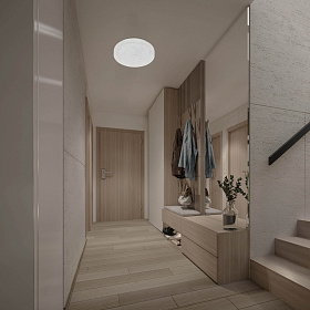 9183 Потолочный светильник FROZEN