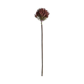 Искусственное растение ALLIUM
