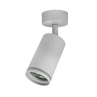 Потолочный светильник-спот ARAS BR08077