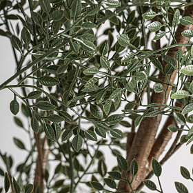 Искусственное растение Olive Plant 37734
