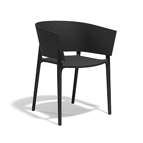 Стул с подлокотниками Africa