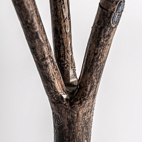 Искусственное растение ROBLE BLANCO