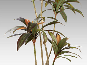 Dracena roja Искусственное растение H220