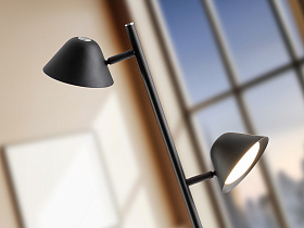 Taros Торшер 2L черный