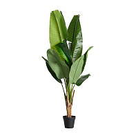 Искусственное растение BANANERA 29116