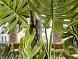 Monstera Искусственное растение H210