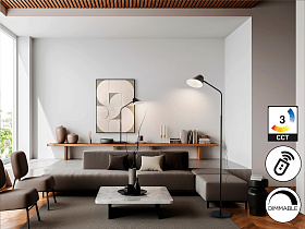 Esino Торшер 1L черный