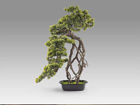Kengai bonsai 74CM Искусственное растение