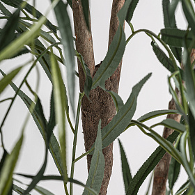 Искусственное растение SAUCE