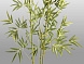 Bambu Искусственное растение H170