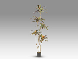 Dracena roja Искусственное растение H220