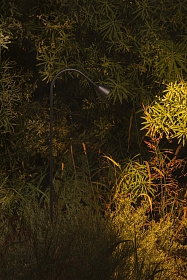 LILY 1190 Уличный маяк на штыке черный LED 3W 2700K 24V